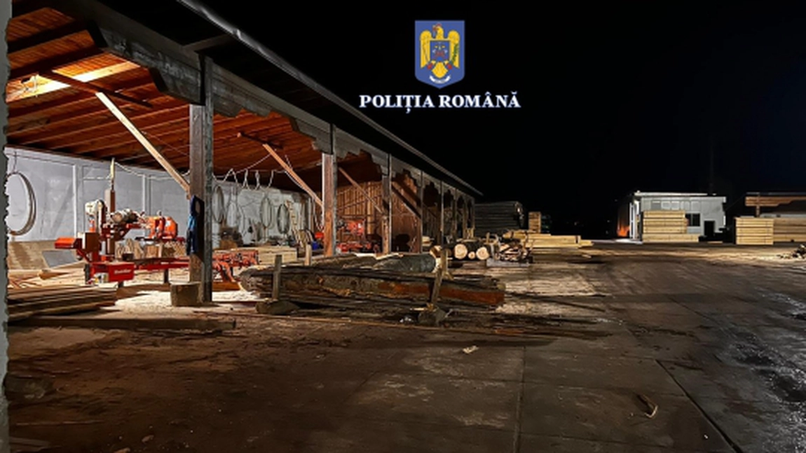 Sute de percheziții în Iași și în țară la mafia lemnelor - FOTO, VIDEO