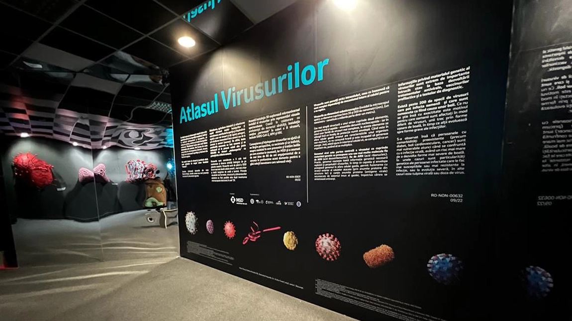 Atlasul Virusurilor, prima expoziție 3D din România care explorează universul invizibil al virusurilor, inaugurată la Art Safari