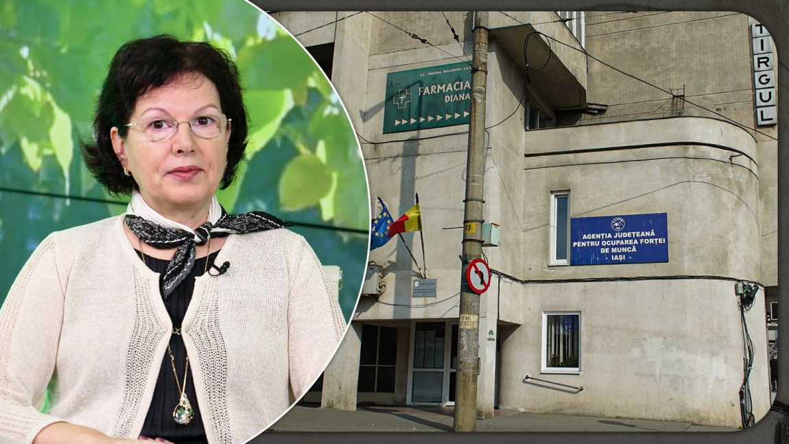 Sute de ieșeni au absolvit cursurile de reconversie profesională organizate de AJOFM Iași. „50 la sută se angajează după absolvire”