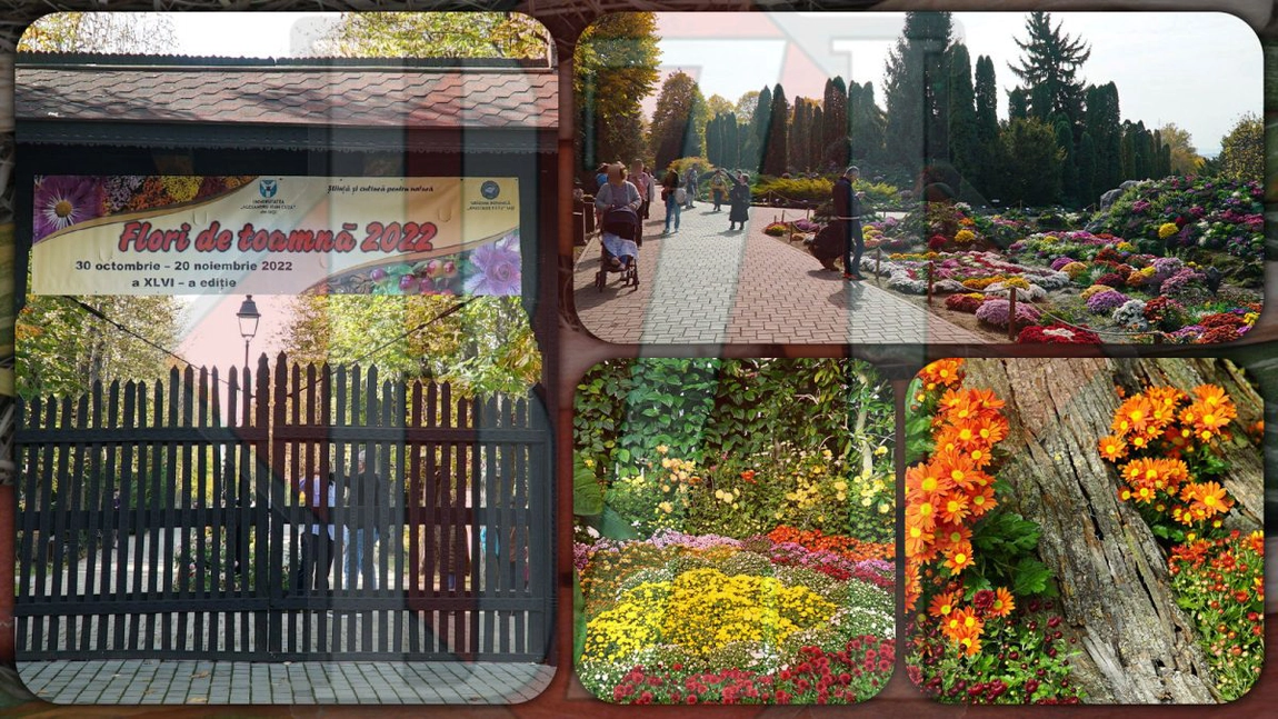 Duminică, 30 octombrie 2022, la Iași se deschide o mega-expoziție! Sunt așteptați mii și mii de vizitatori în Grădina Botanică – IMAGINI SUPERBE