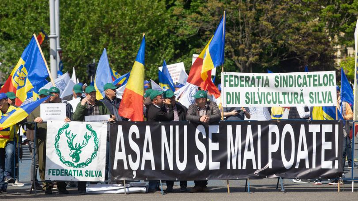 Protest în fața Guvernului, de Ziua Armatei Române. Ce nemulțumiri au oamenii