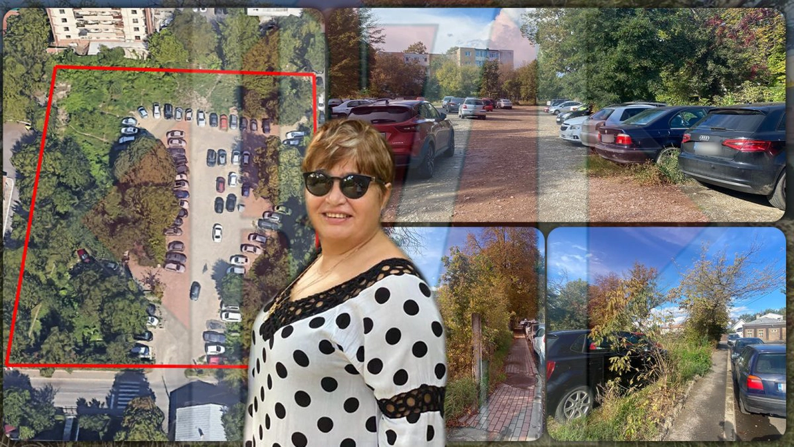 Jupâneasa contractelor de asistență tehnică din Iași, preferata CNI! Maria Popovici și-a pus feciorul ca paravan, însă a avut interdicție la licitații. Profitul de 1 milion de euro a fost asigurat – FOTO