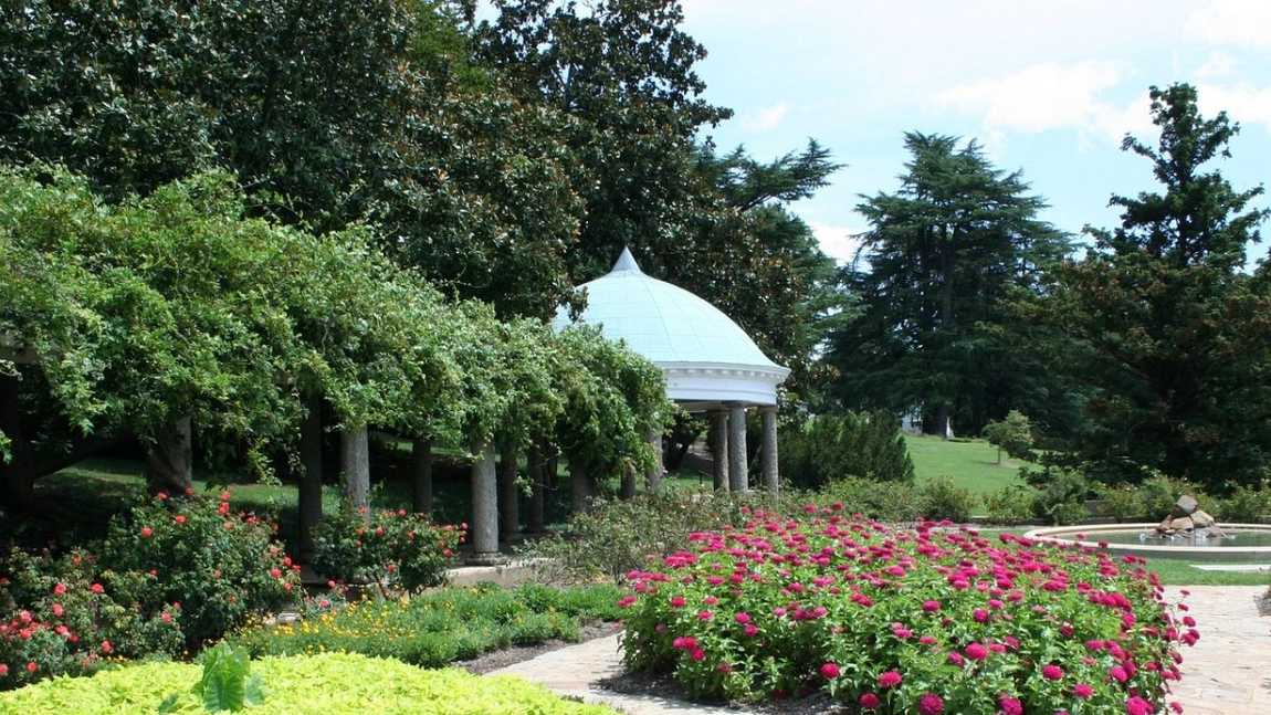 Cum îți amenajezi grădina în 2022? Sfaturi și recomandări