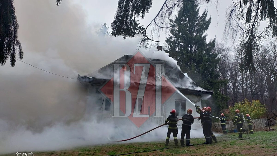Incendiu la Ocolul Silvic Perju din Dobrovăț. Pompierii intervin - EXCLUSIV, UPDATE, FOTO