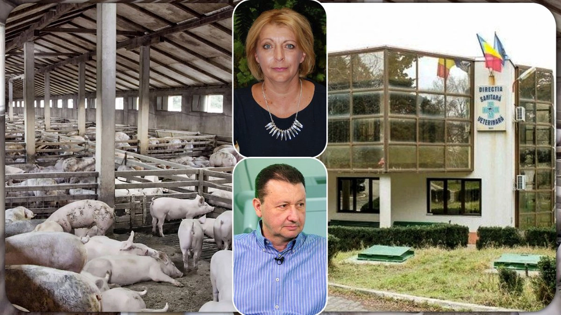 Ieșenii plătesc mai mult pentru carnea de porc de pe masa de Crăciun. Mary Pană: „Carnea este adusă din Spania, Germania, Polonia”