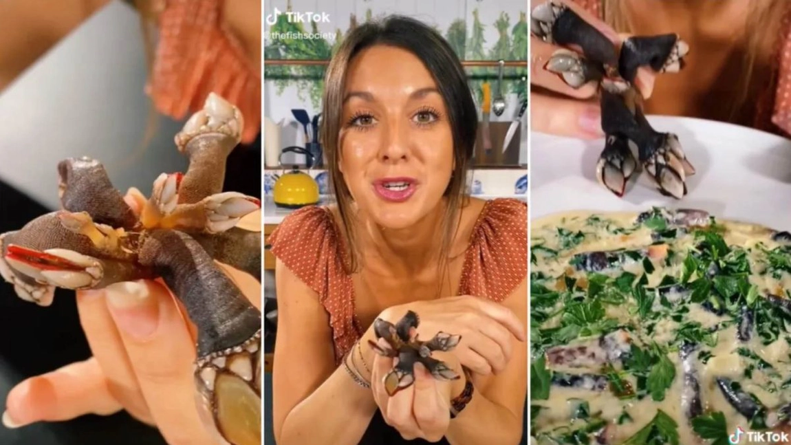O creatură marină care pare extraterestră, virală pe TikTok! Nimeni nu crede că e reală
