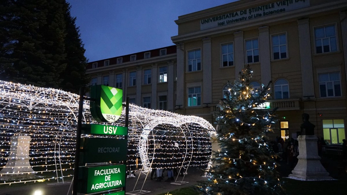 Feerie de sărbători la USVIași. Cel mai frumos iluminat nocturn a fost inaugurat în municipiu - GALERIE FOTO