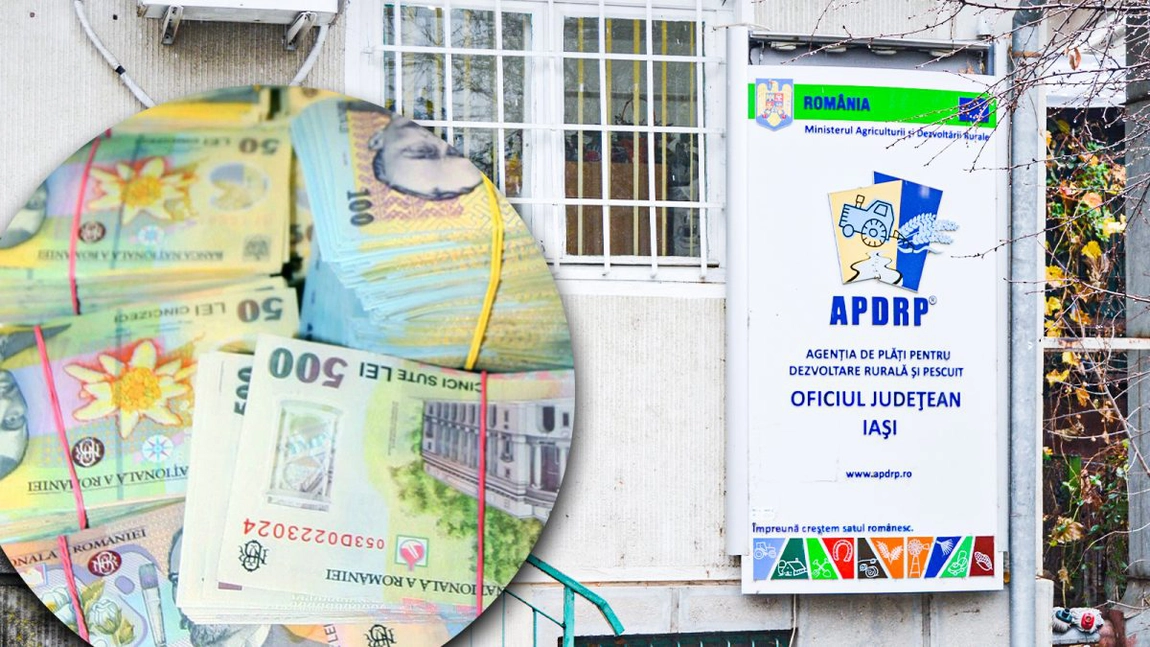 Au investit între 40.000 și 100.000 de euro în afaceri de succes în mediul rural. Tinerii fermieri au mai primit jumătate de milion de euro de la AFIR