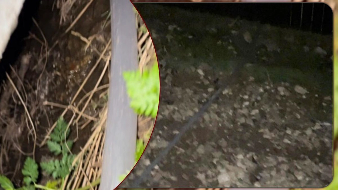 Nesimțire fără limite în comuna Miroslava! Un localnic deversează deșeurile pe terenul vecinilor – GALERIE FOTO/VIDEO