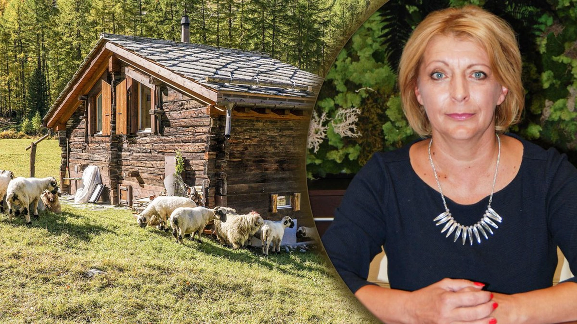 Oierii din Iași, îngrijorați de legea care ar putea interzice exportul de animale vii. Crescător: „Din asta trăim”