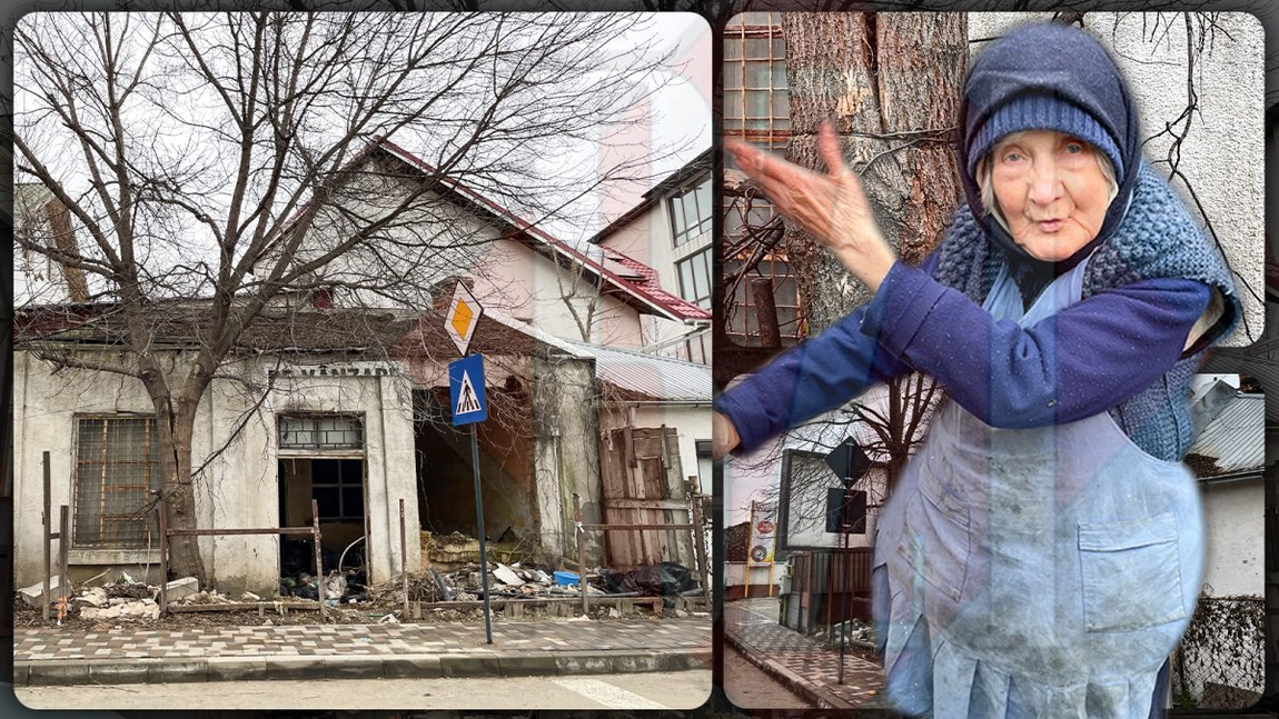 Dacă se rupe copacul, bătrâna moare în casă. Caz incredibil în centrul Iașului. Laurențiu Ivan: „Intervenim de urgență, dacă sună la 112” - FOTO