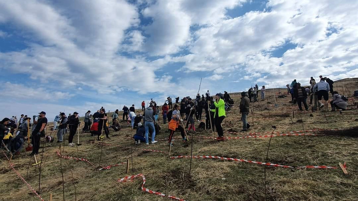 Campanie de ecologizare și împădurire, desfășurată în perioada 10 martie - 30 aprilie, la Iași - FOTO