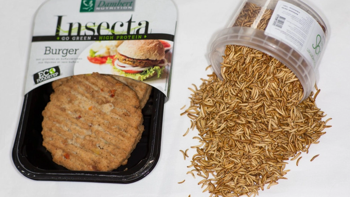 Produsele ce conţin ingrediente derivate din insecte au stârnit valuri de indignare 