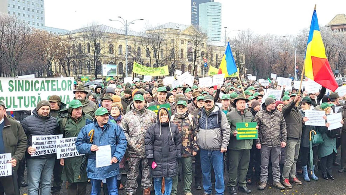 Protest masiv în fața Senatului. Sindicaliștii din silvicultură își vor striga, din nou, nemulțumirile