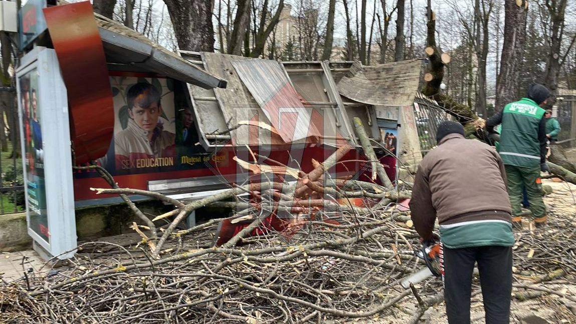 Rafalele de vânt au creat haos în Iaşi! Copaci căzuţi peste staţia Triumf din Copou. Circulația tramvaielor, oprită după ce rețeaua a fost ruptă - EXCLUSIV GALERIE FOTO, VIDEO, UPDATE