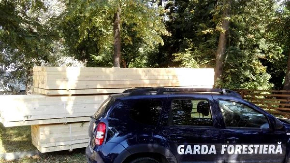 Transporturi de material lemnos cu GPS-ul dispozitivului mobil pe care se afla avizul dezactivat pentru ca aceste „transporturi” să nu poată fi localizate, identificate de către Garda Forestieră Suceava în județul Neamț