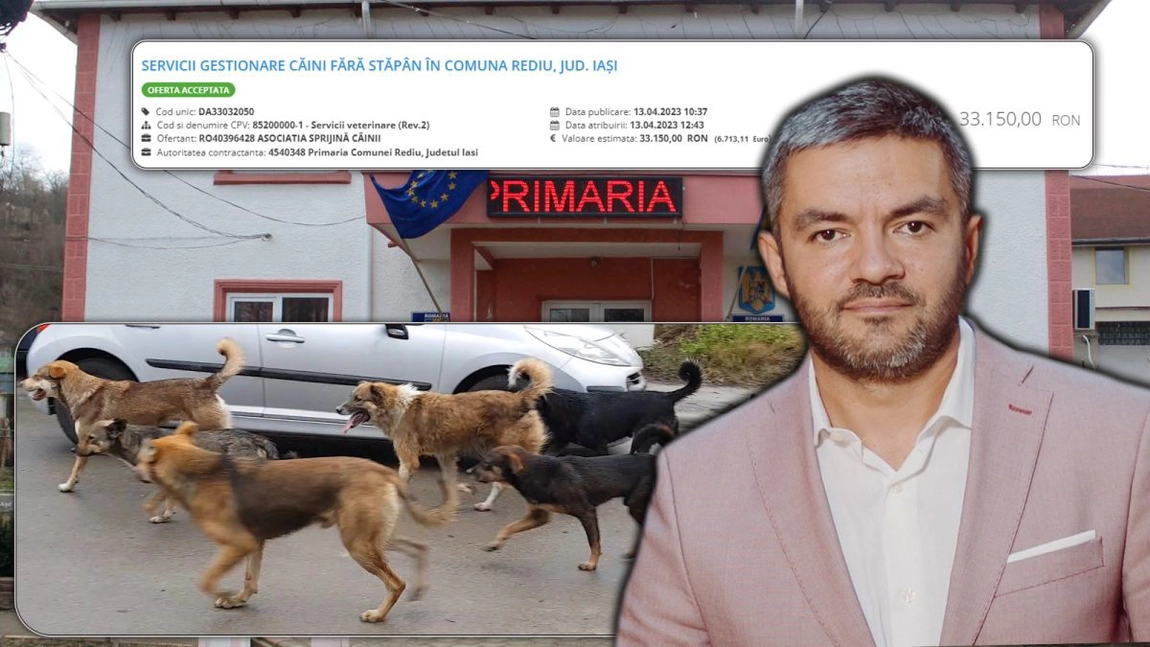 Primarul din Rediu vede doar câțiva câini fără stăpân în comună. S-a grăbit să cumpere servicii veterinare după ce un bărbat a fost atacat de o haită
