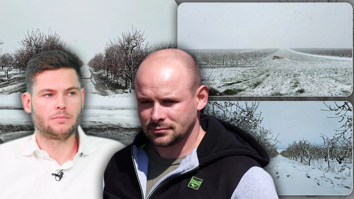 Înghețul de primăvară a lovit în afacerile pomicultorilor din Iași. Pierderile financiare sunt de câteva sute de mii de euro. „Și anul trecut a fost la fel. Banca nu te păsuiește, chiar dacă e ger” - FOTO