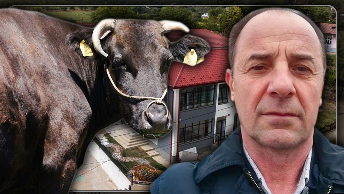 Scandal uriaș într-o comunitate, după moartea unui taur Wagyu care costa o avere. „Trebuie să fac niște verificări că m-ați luat pe nepusă masă” - FOTO