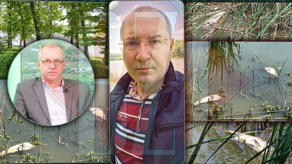 Dezastru ecologic la unul dintre cele mai cunoscute lacuri din Iași? Localnicii au semnalat că sute de pești morți au ajuns la mal. Mirosul era greu de suportat - EXCLUSIV/FOTO/VIDEO