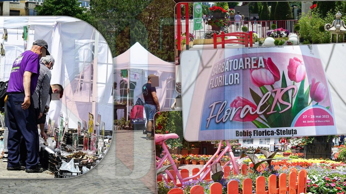 Sute de specii de flori pot fi admirate pe bulevardul Ștefan cel Mare din Iași. Plantele Stelei Bobiș sunt deja un fenomen - GALERIE FOTO