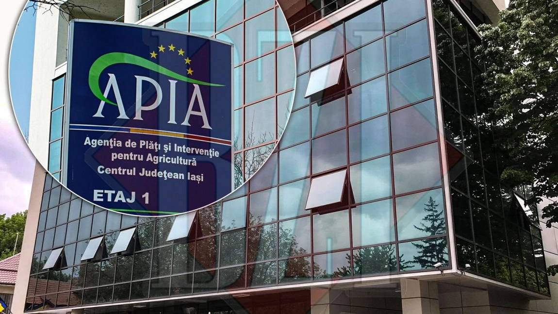 APIA plătește peste două milioane de lei fermierilor din Iași, afectați de scăderea prețului la cereale, în contextul importurilor din Ucraina