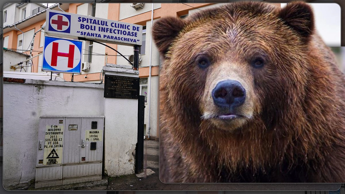 S-a dat alarma la Iași! Un bărbat și-a bătut joc de medicii de la Spitalul de Boli Infecțioase, spunând că l-a mușcat Ursul. Cine era, de fapt, Ursul? - FOTO, UPDATE