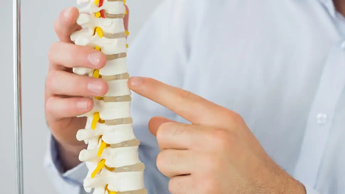 Câte vertebre are coloana? Numărul acestora în funcție de regiune