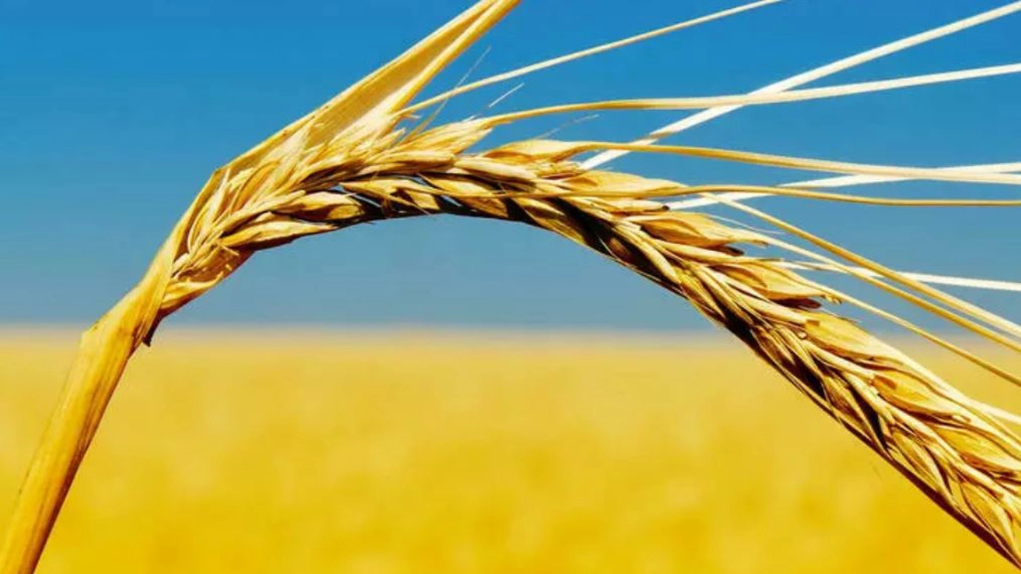 Franța și Germania se opun prelungirii restricțiilor privind cerealele din Ucraina, cerute de România și alte state UE