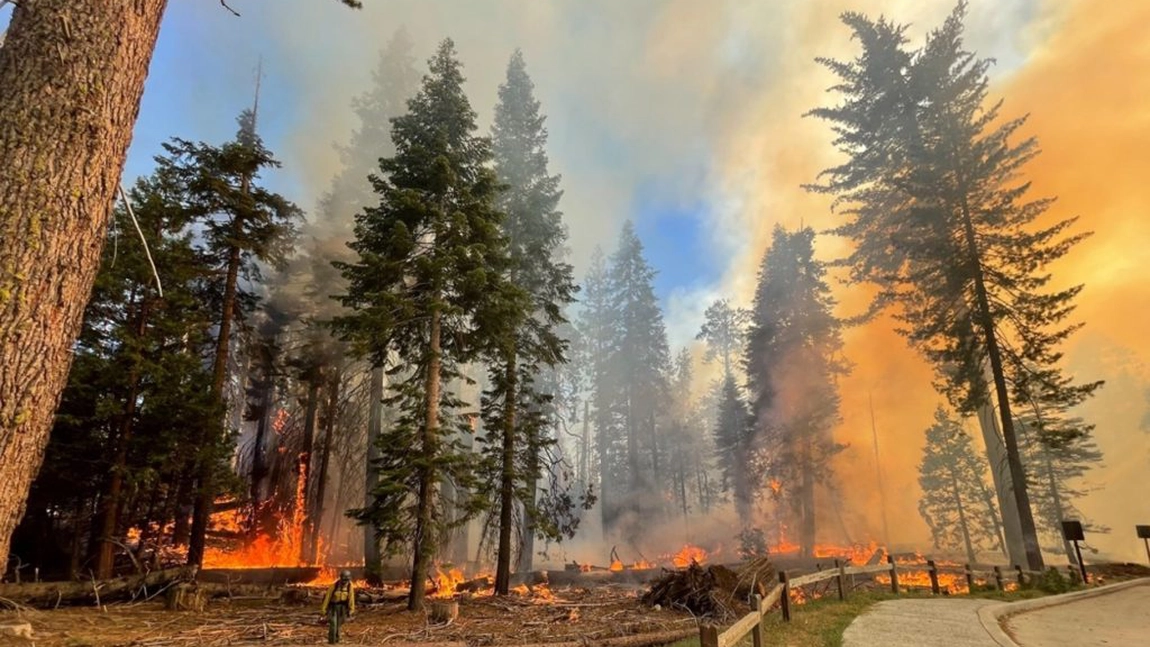 SUA au căzut și ele pradă incendiilor de vegetație, ce deja se extind periculos de repede - VIDEO
