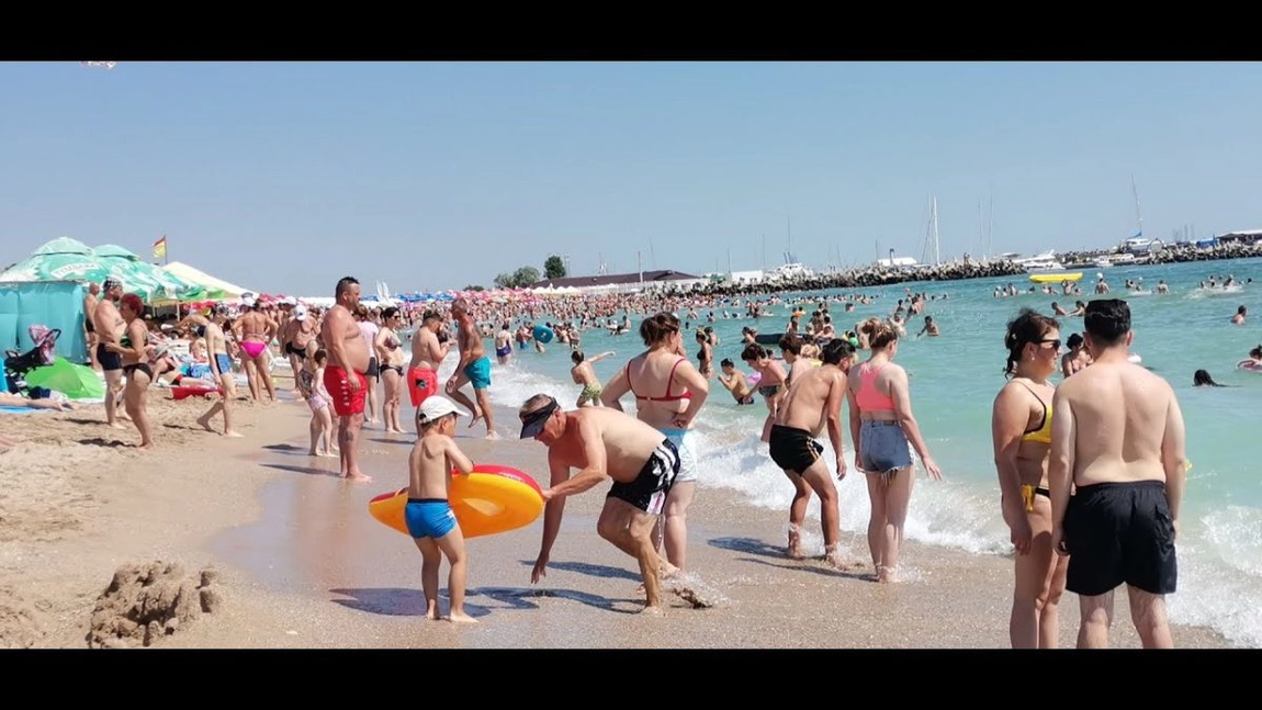 Delfinii din Marea Neagră, victime ale poluării fonică. Ce s-a întâmplat pe la Eforie Nord