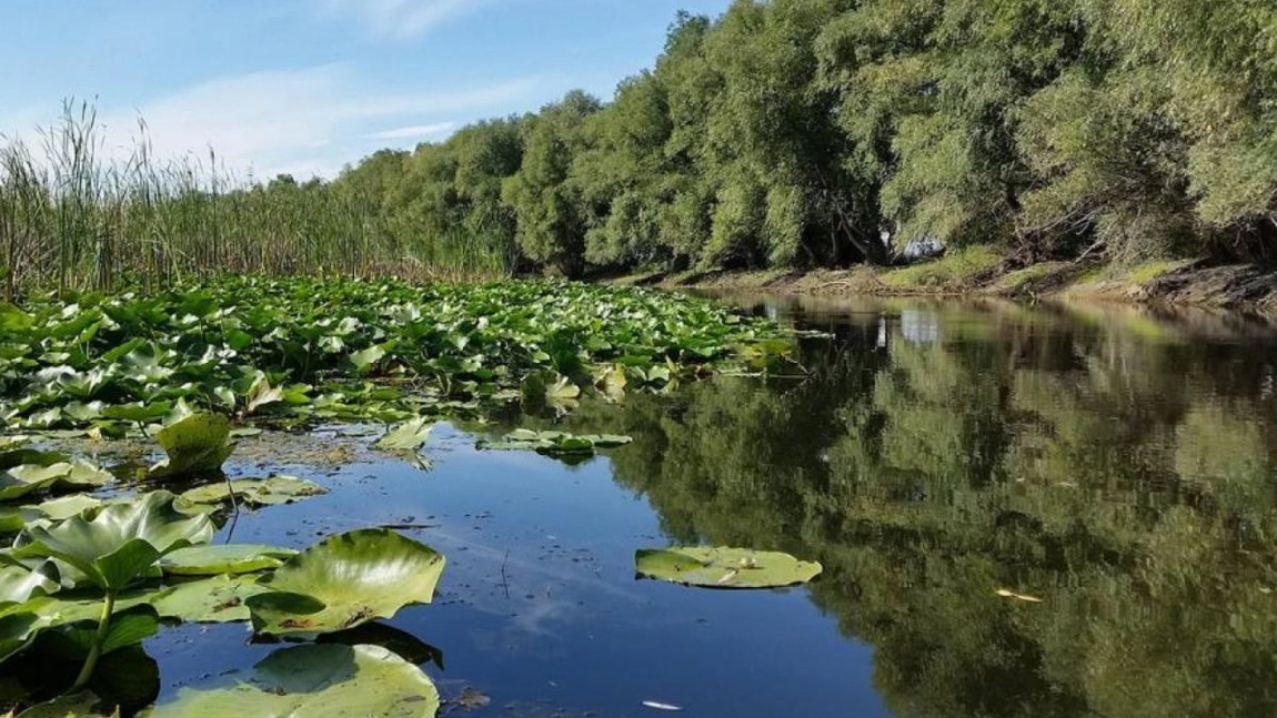 Klaus Iohannis, vizită supriză în Delta Dunării