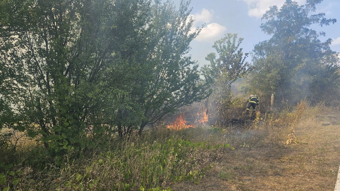 Incendiu de vegetație uscată produs în localitatea Comarna, județul Iași - FOTO/UPDATE