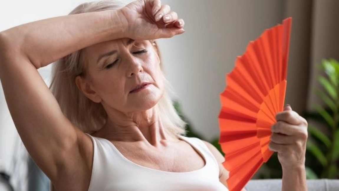 Ceaiuri pentru bufeuri menopauză. Plante care ameliorează simptomele neplăcute