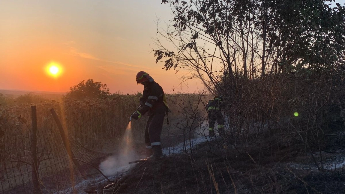 Incendiu de vegetație uscată în comuna Ciortești. Au fost cuprinse de flăcări aproximativ 6 hectare - FOTO/VIDEO
