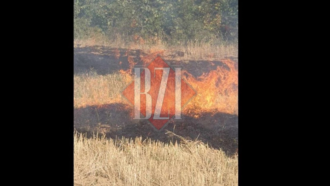 Incendiu de vegetaţie uscată în Mogoşeşti. Pompierii intervin - FOTO, UPDATE
