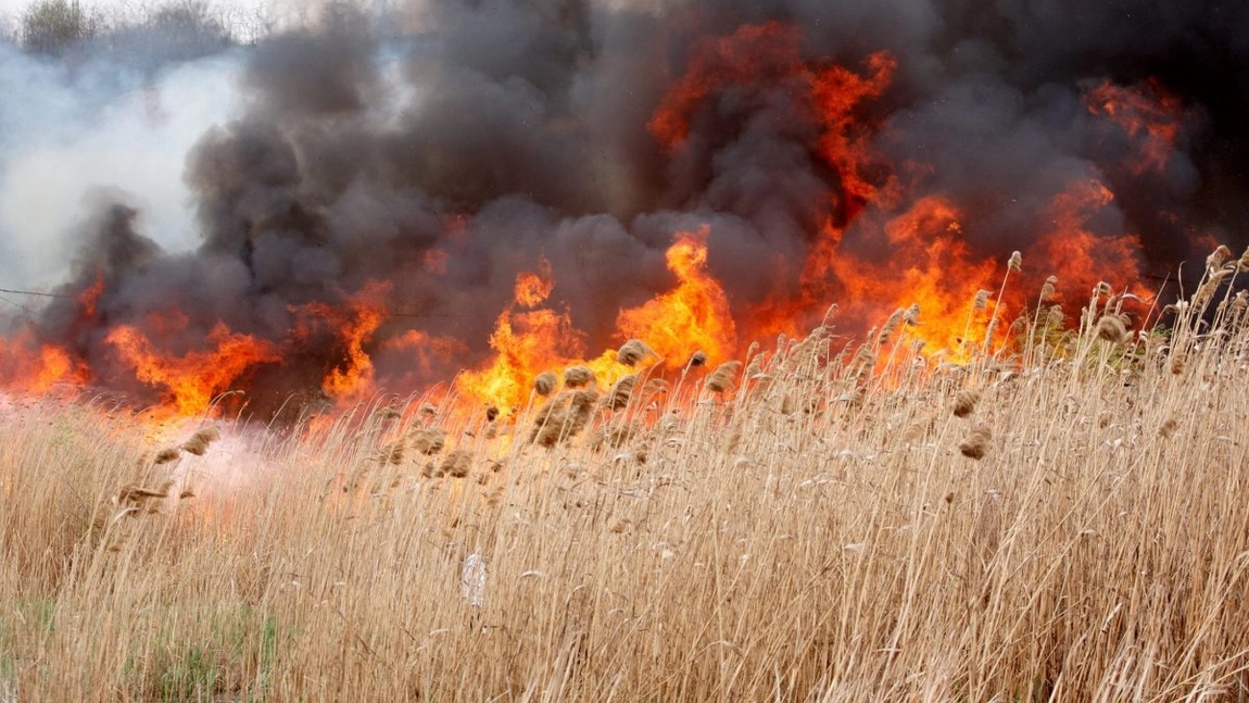 Incendiu de vegetaţie uscată în localitatea Mihail Kogălniceanu. Două echipaje de pompierii intervin