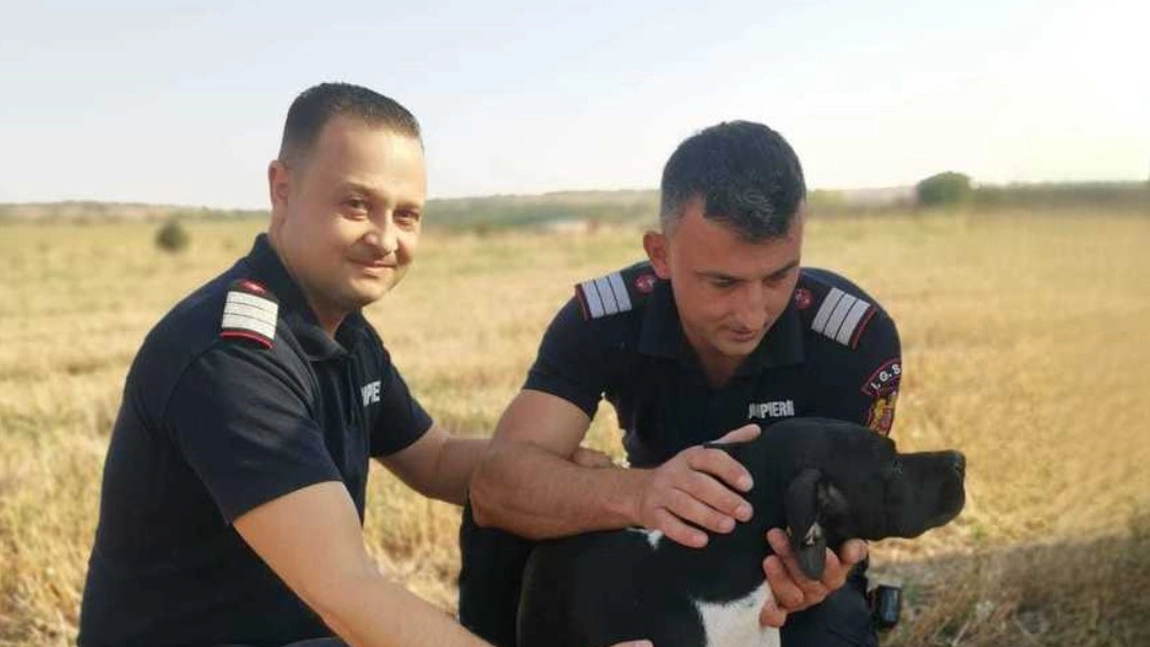 Pompierii din Giurgiu au salvat o căţelusă. Căzuse într-o fântână dezafectată, la o adâncime de 12 metri şi a stat acolo peste 12 ore