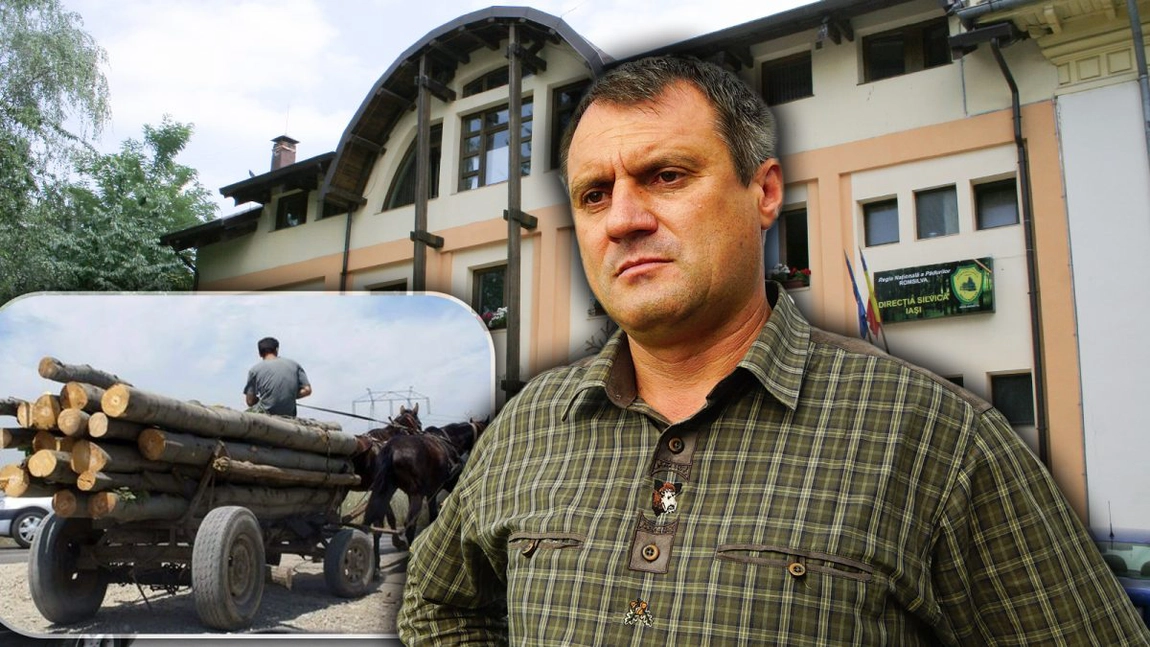 Direcția Silvică Iași a intensificat controalele în această perioadă! Numărul plângerilor penale este în creștere