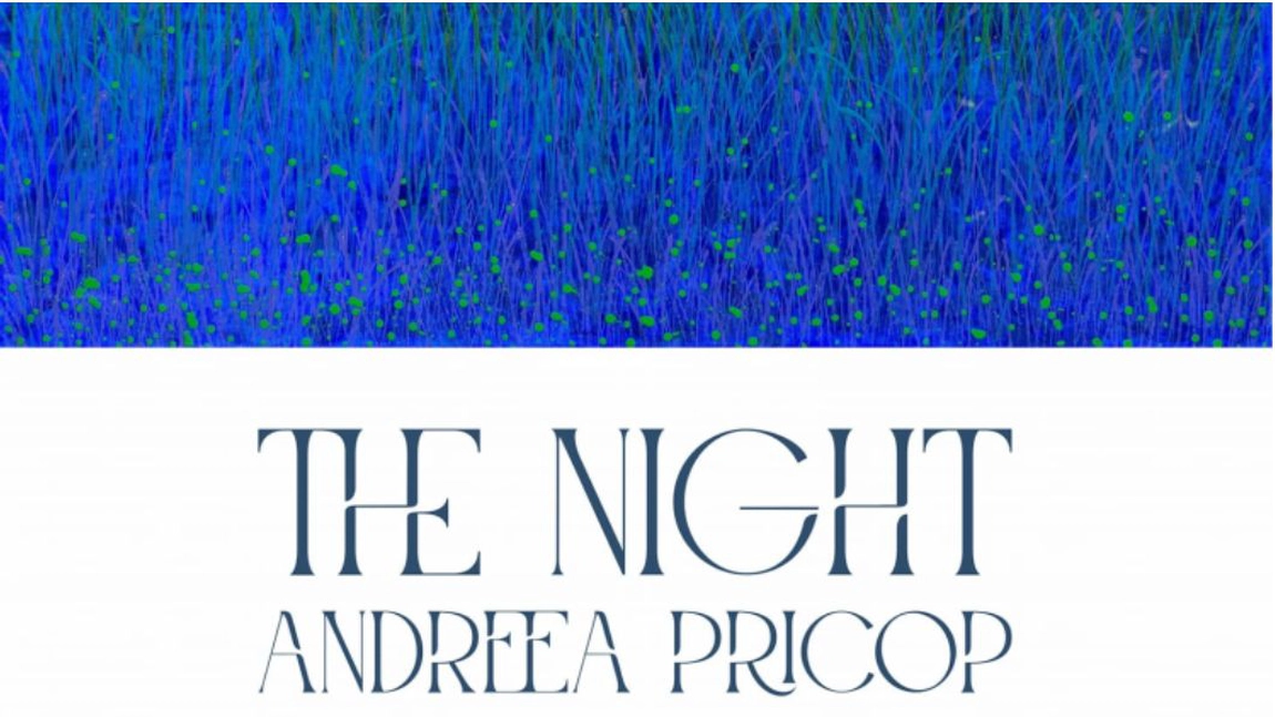 Expoziție de pictură „THE NIGHT