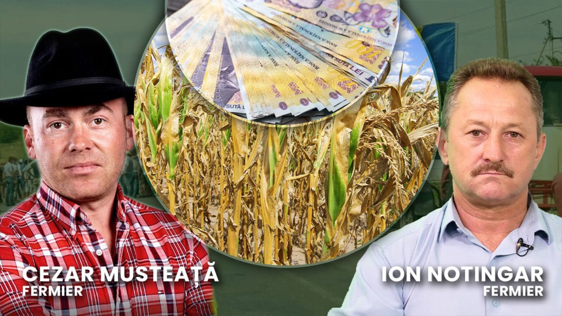 Țeapă cu despăgubirile de secetă! Fermierii sunt nemulțumiți de sumele extrem de mici acordate de MADR. „E o sumă de tot râsul, 100 de lei la hectar”