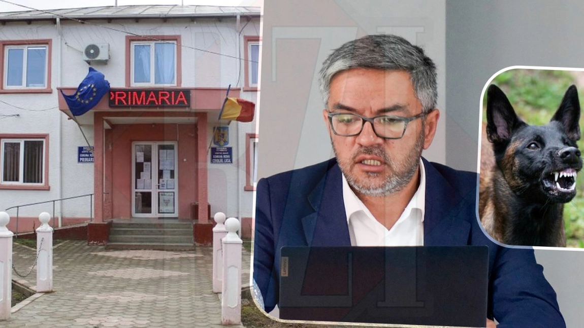 O nenorocire se putea întâmpla în Rediu din cauza nepăsării primarului. Un copil a fost atacat de câinii fără stăpân din localitate