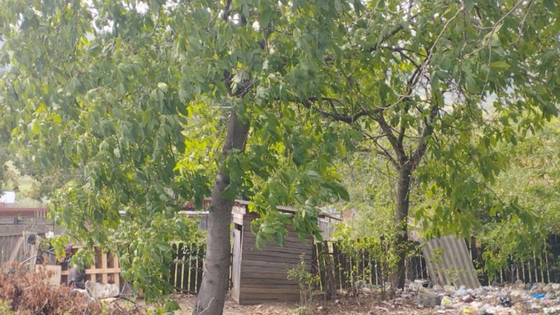 Caz halucinant la Vaslui! O elevă premiantă și-a omorât nou-născutul și l-a aruncat în toaletă