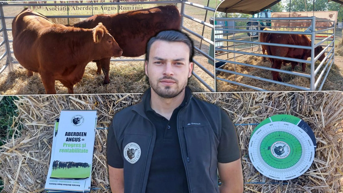 Ieșenii preferă carnea de vită Angus tot mai mult. Produsul ajunge la prețuri de mii de euro: „Față de anii trecuți avem o creștere importantă” - FOTO