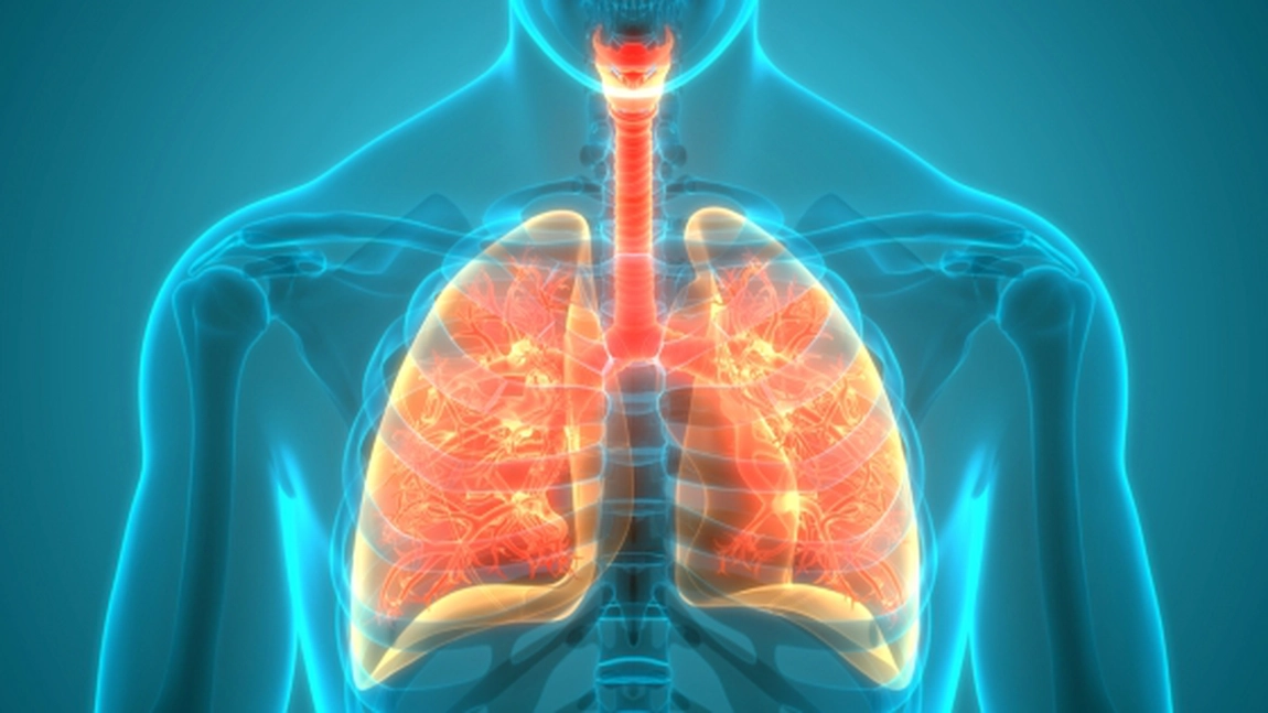 Ce este pneumonoultramicroscopicsilicovolcaniconioza, afecțiunea pulmonară provocată de inhalarea prafului