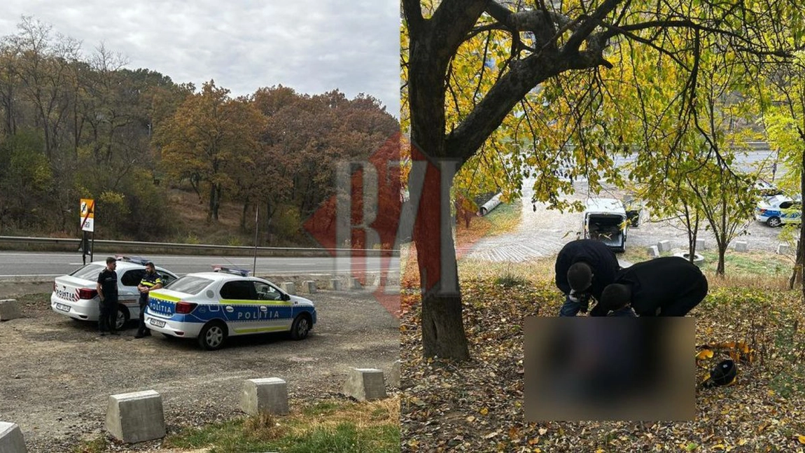 Descoperire macabră pe C. A. Rosetti. Un bărbat a fost găsit spânzurat de un copac la marginea drumului - EXCLUSIV, FOTO