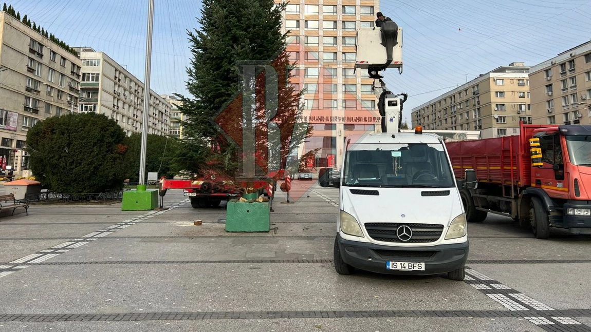 Un brad pe jumătate fără crengi este montat în Piaţa Unirii. Angajații primăriei trebuie să-l “cârpească” înainte să-l împodobească - FOTO