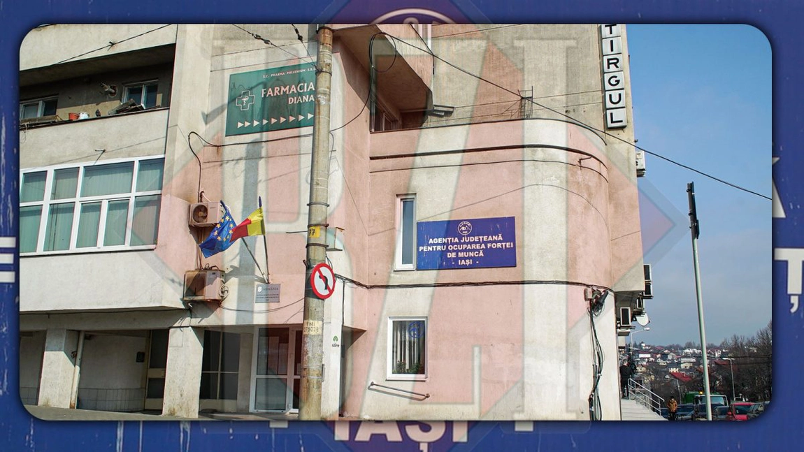Sute de oferte de muncă de la angajatorii din Iași în această perioadă. Cei cu studii medii au mai multe șanse să se angajeze