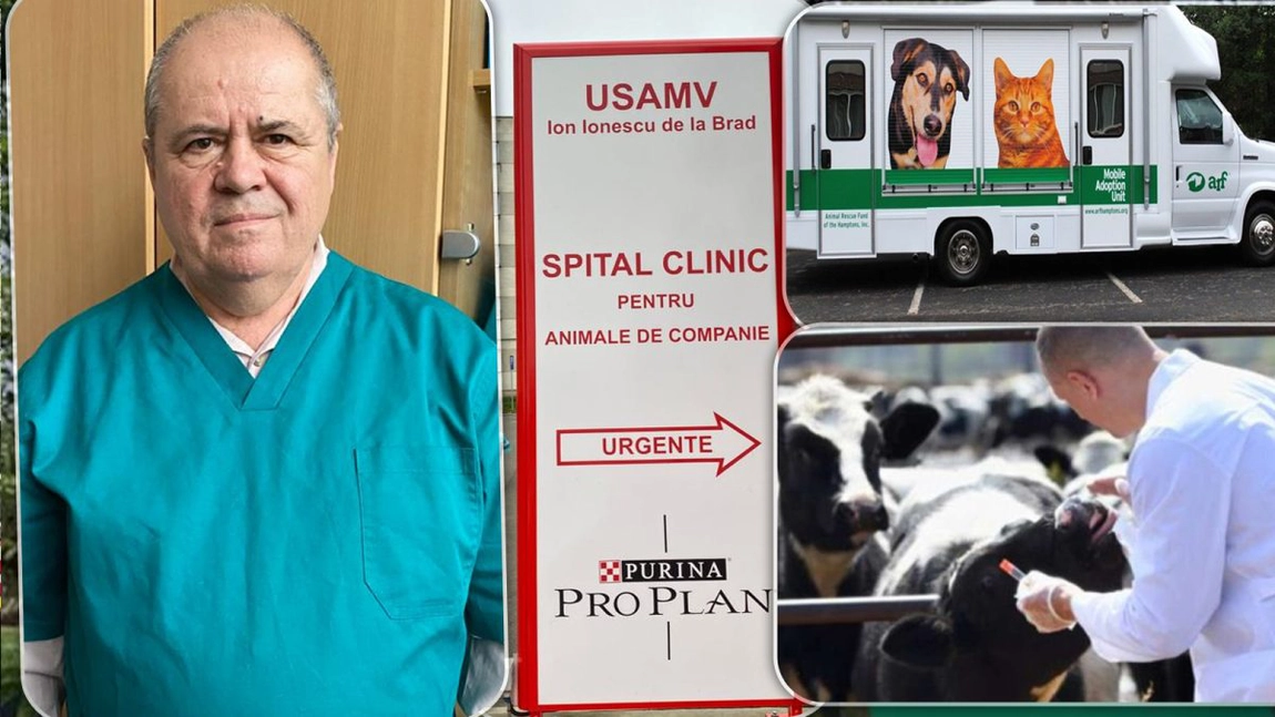 Spitalul Veterinar de Urgență al USV Iași va avea o unitate mobilă: „Urmează să se achiziționeze mașina, un autolaborator în care includem toată aparatura necesară” - FOTO