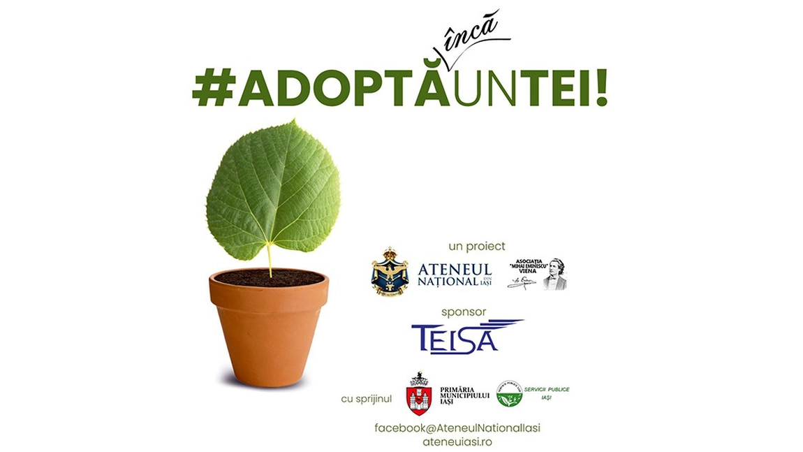 Ateneul Național din Iași organizează a 3-a ediție a campaniei „ADOPTĂ UN TEI”